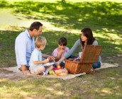 picnic-familia